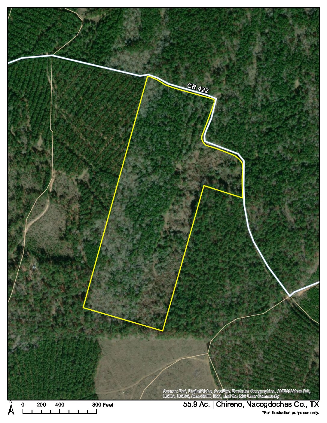 Aerial of 55 acres on County Road 422 in Nacogdoches County, Texas