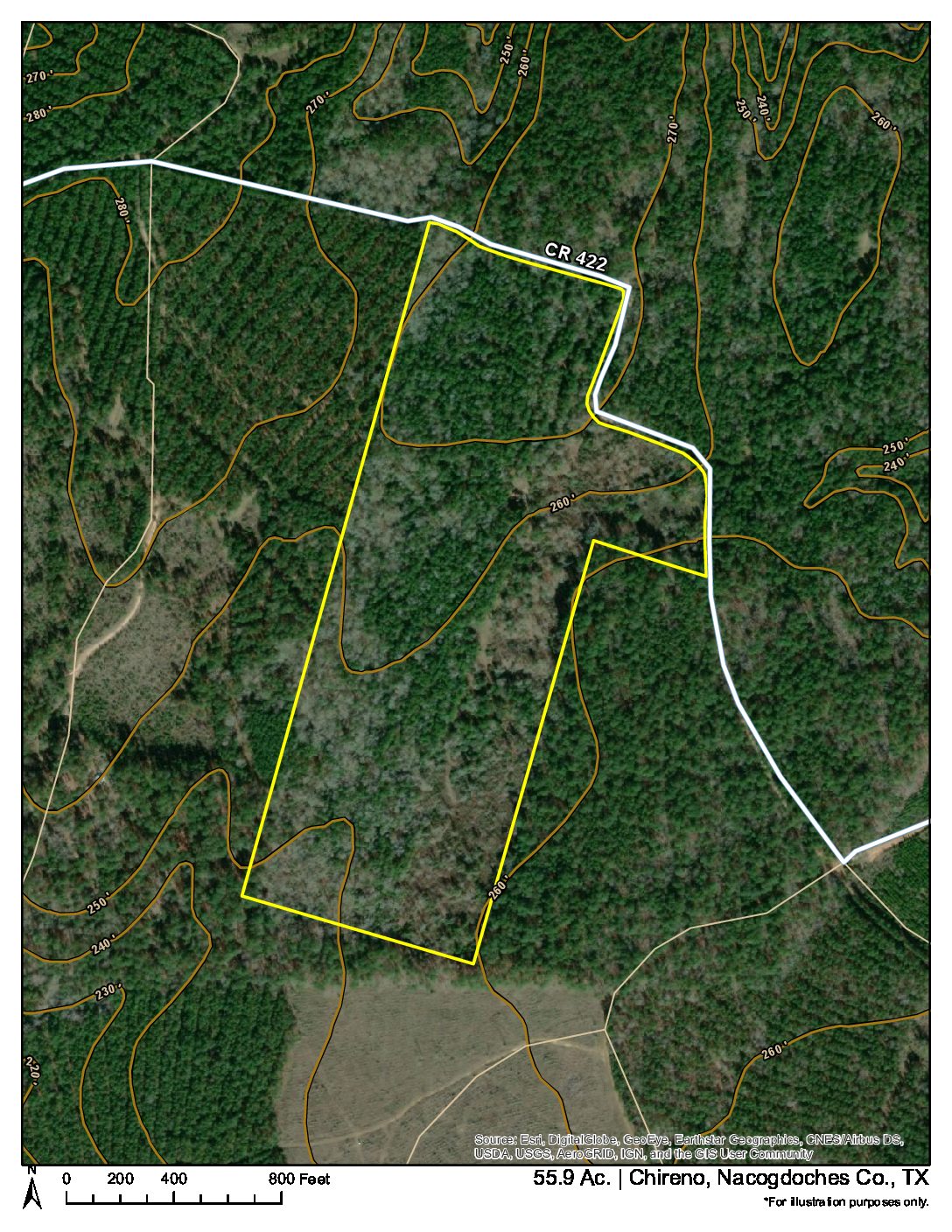 Topography of 55 acres on County Road 422 in Nacogdoches County, Texas