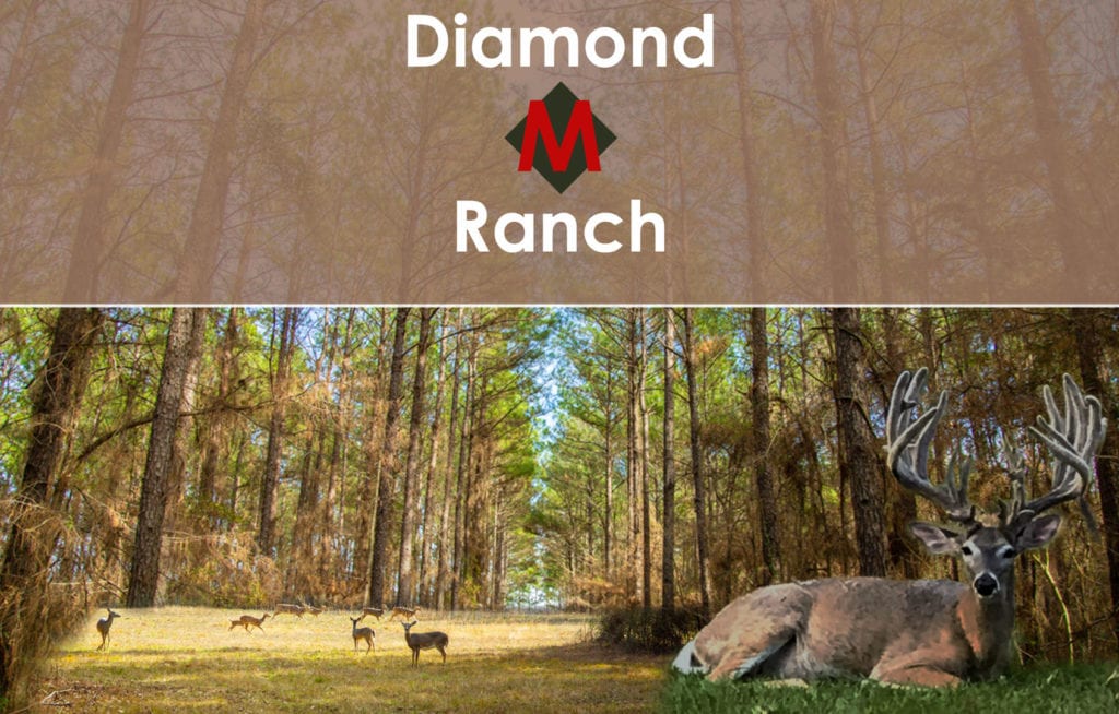 Diamond-M-Ranch
