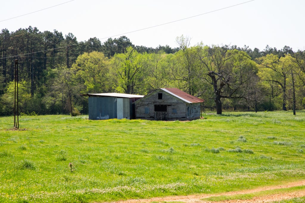 Tucker-farms-cr-220-Spring-1