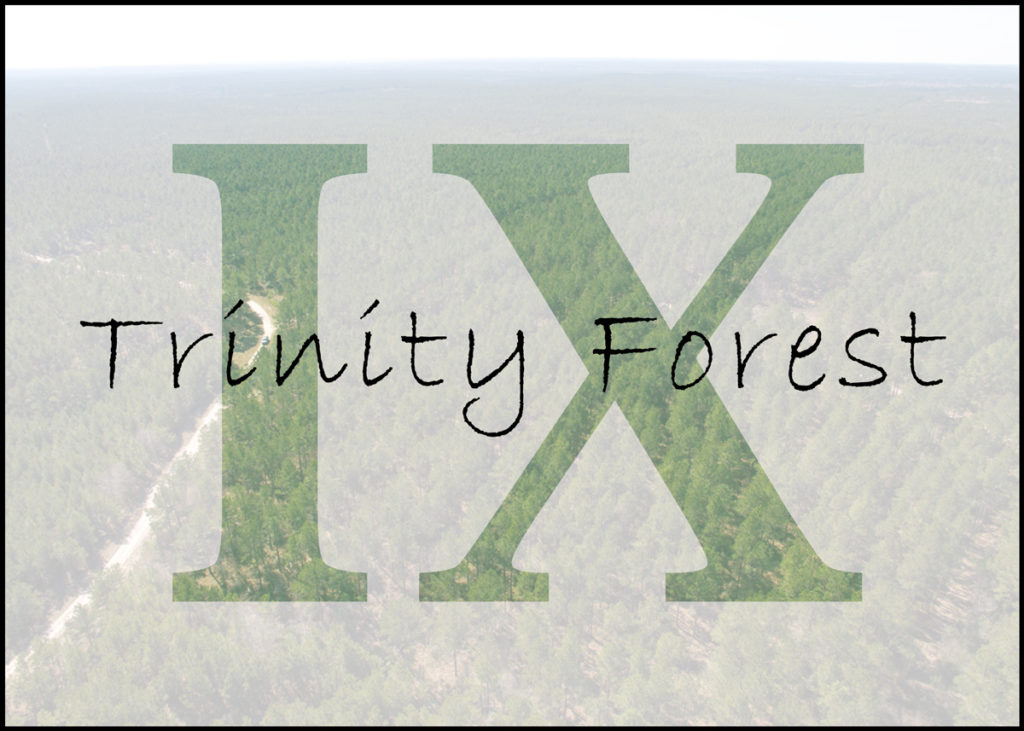Trinity-Forest-IX