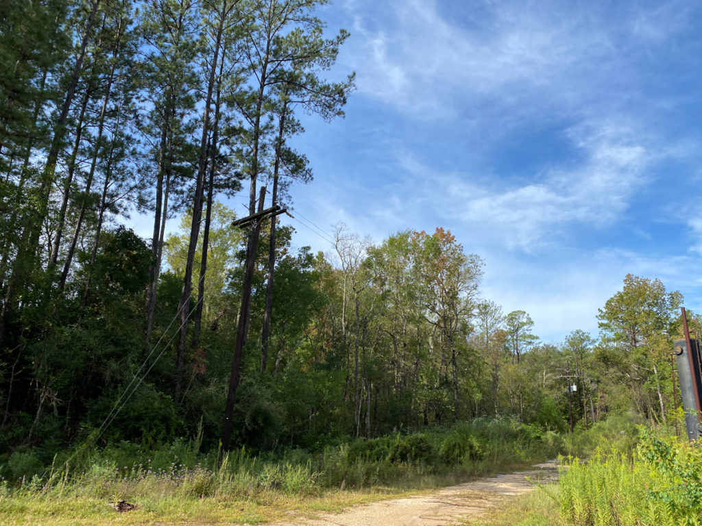 137 Acres | Saratoga Forest | HomeLand Properties