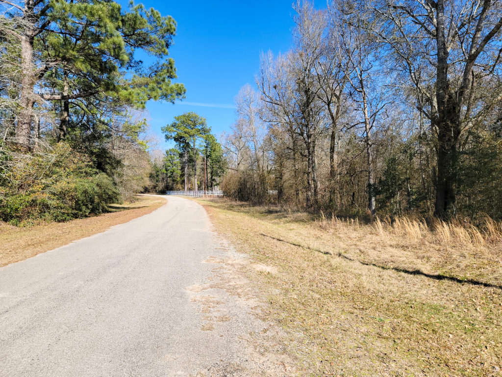 2 Acres | Magnolia Lane | HomeLand Properties