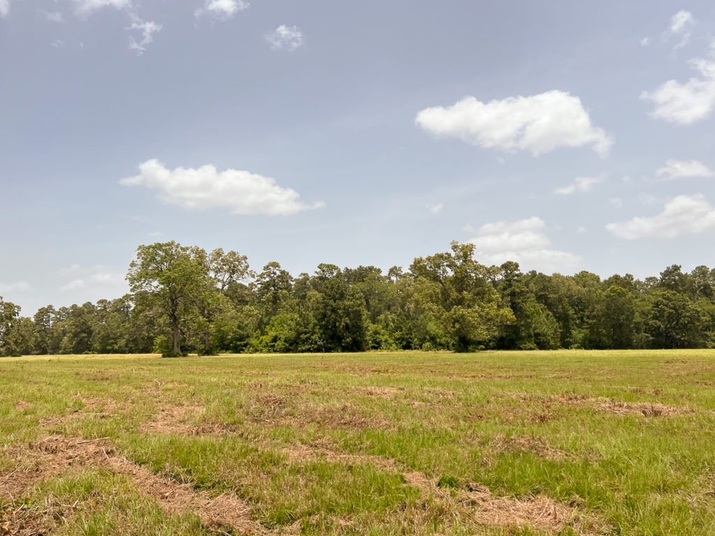 104 Acres | FM 1375 | HomeLand Properties