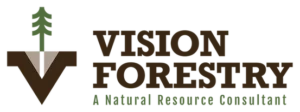 Vision Forestry logo_horizontal color_pn