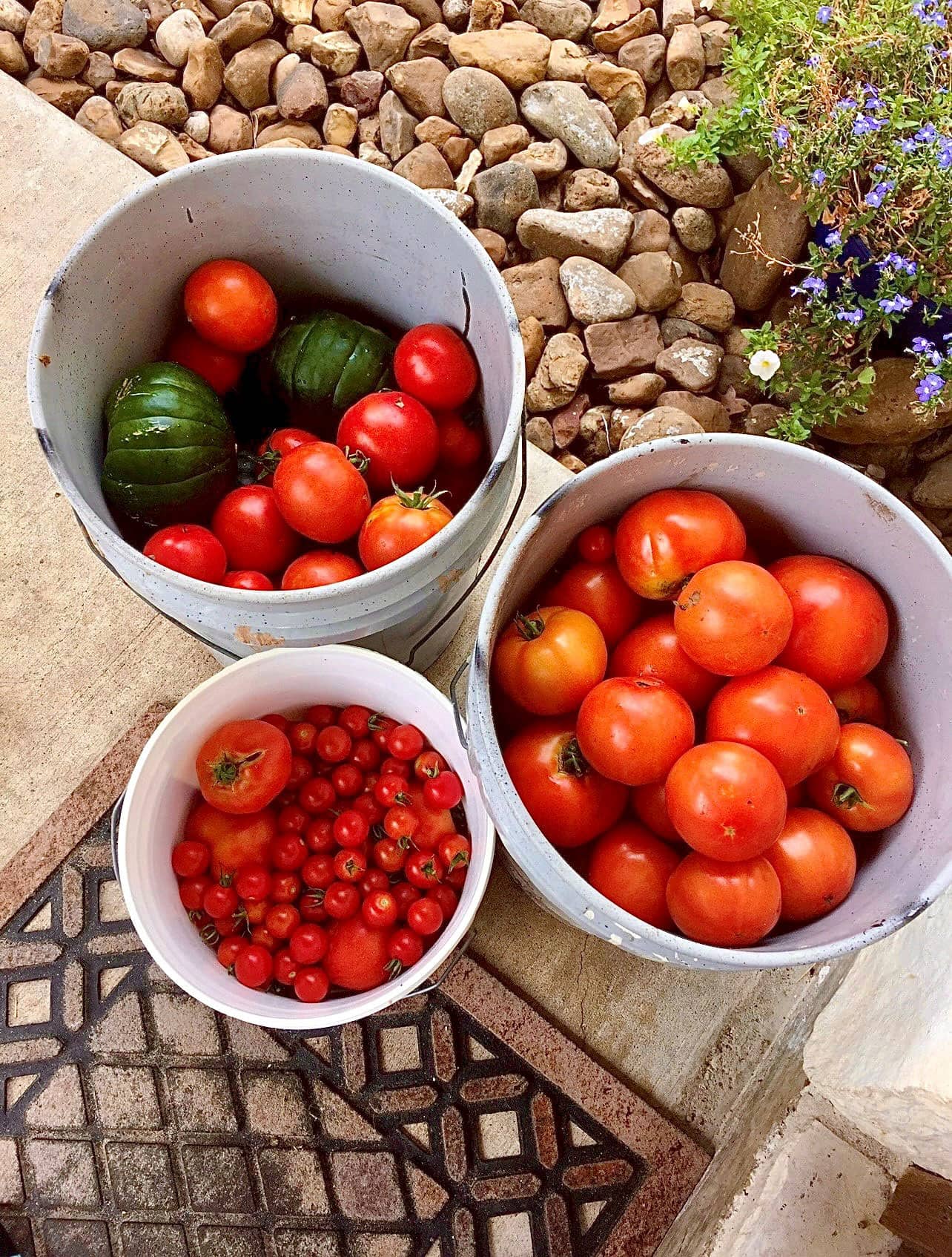 From Farm to Table