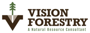Vision Forestry