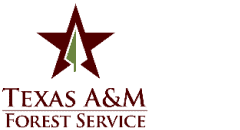 Texas A&M Forest Service