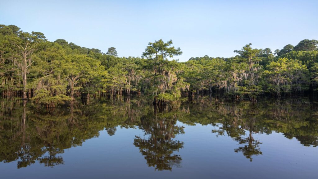 Caddo-Lake-State-Park