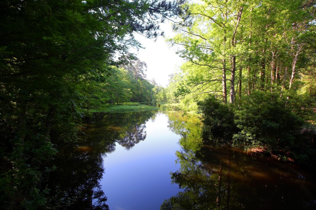 Martin-Dies-Jr-State Park