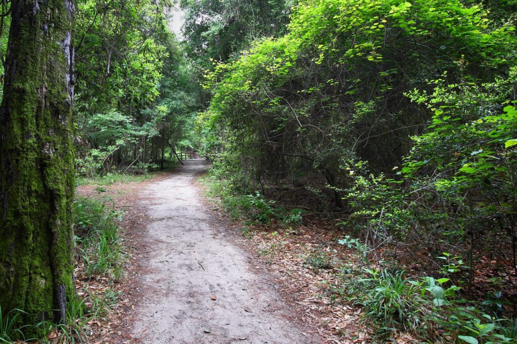 Village-Creek-State-Park