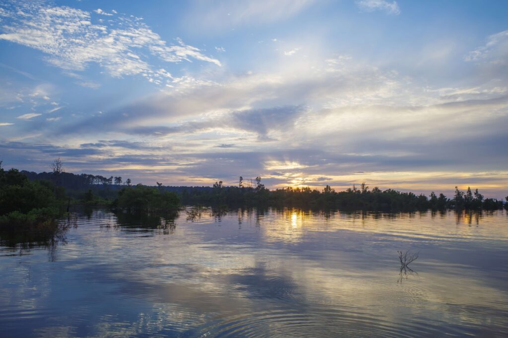 Best Fishing Lakes in East Texas