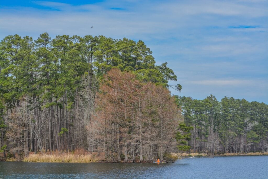 East Texas National Forests Nature, Recreation, and Rural Land Opportunities