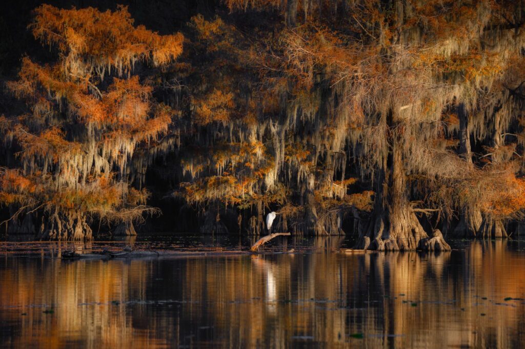 13 Best Places To Visit In East Texas You Should Not Miss