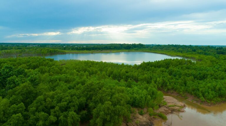 How to Buy Land in Texas and Why It Is One of the Best Investments You Can Make