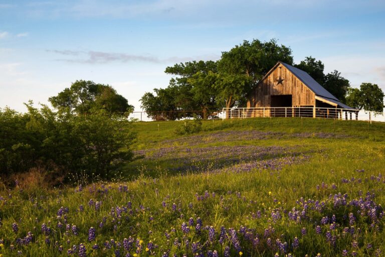 How to Secure Farm and Ranch Loans in Texas_