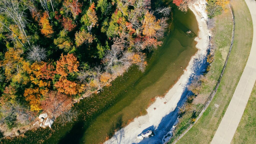 Importance and Benefits of Reforestation for East Texas Land Owners
