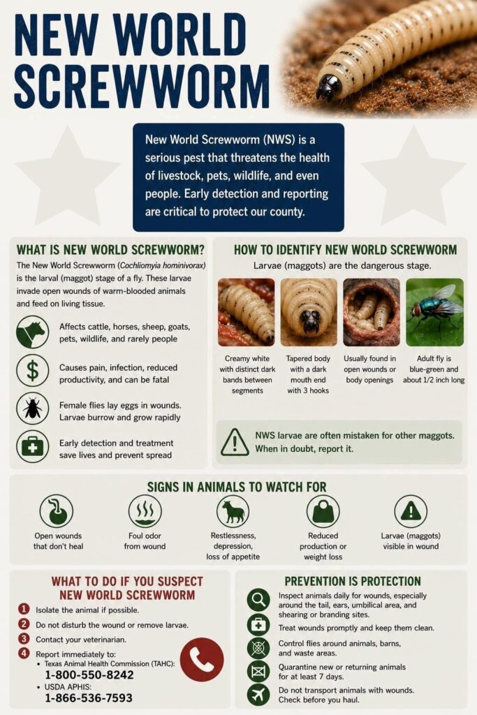 New World Screwworm Infographic